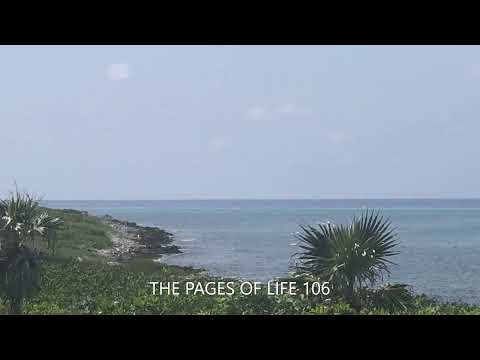 Hymns Old and New -THE PAGES OF LIFE 106