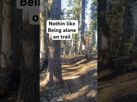 Alone on the PCT