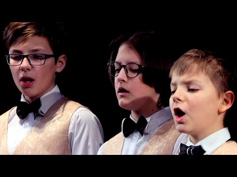 16. Щедрик (украинская колядка в обработке Николая Леонтовича).