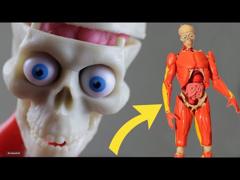 Interactive Human Body Full Product Review for all Educators!