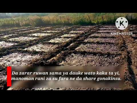 , title : 'Noman Rani A Wasu Yankuna A Kasar Hausa || Dry Farming in Hausa Land (Arewa)'