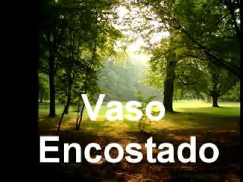 Vaso Renovado - Tony