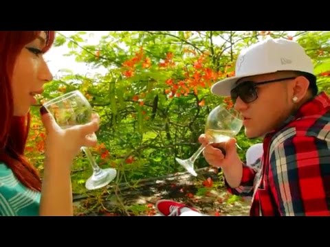 [Official Video HD] Si Los Dejan - Guanaco El Unico Ft. Kario y Yaret