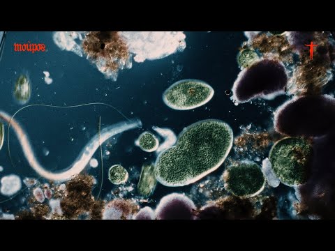 Blindfold - toirog (Official Lyrics Video)