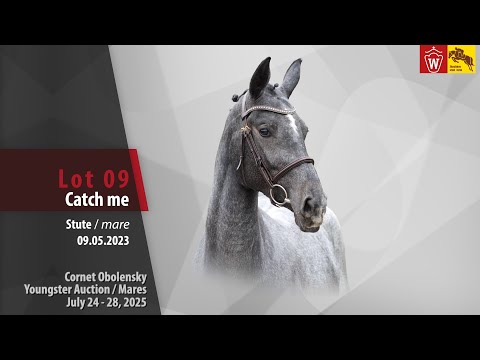 Cornet Obolensky Auction/Mares Lot 09 Catch me Stute v. Cornet Obolensky - Kalasky de Semilly