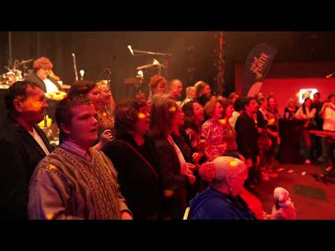 Bürotage (Die Höchste Eisenbahn) – schall.platte – Chor vom Datzeberg live beim Studio Am See 2025