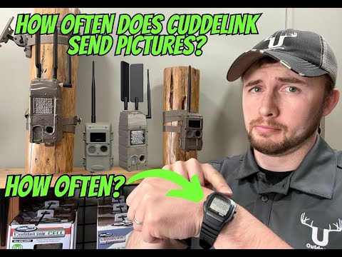 How Often Does Cuddelink Send Pictures? - Cuddeback Cuddelink System