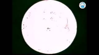 Download lagu doraemon klasik malay version(2) mp3