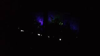 Mike Gordon's EEL During "Peel," Tarrytown 4.4.14