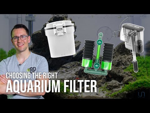 Aquarium Filtration Guide: Which Filter is Best for You? | EP7 Planted Tank Overview