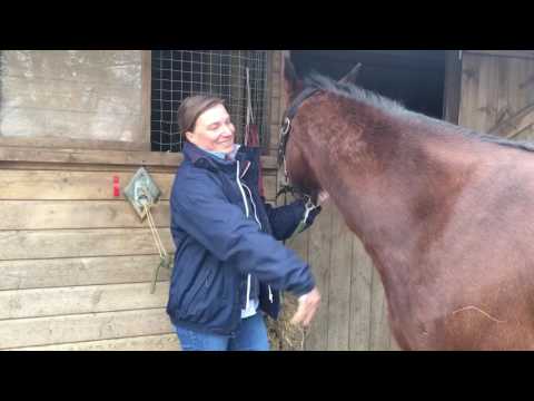 Blue Chip All Star Academy Series 2 audition from Andrea and Dusty