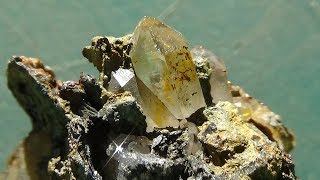 Coconut Skunk Mine an AMRA video