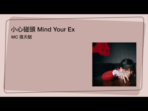 說謊者 - Liar