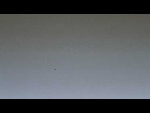 [신인류 Official Audio] 너의 한마디 - 신인류 (SHIN IN RYU)