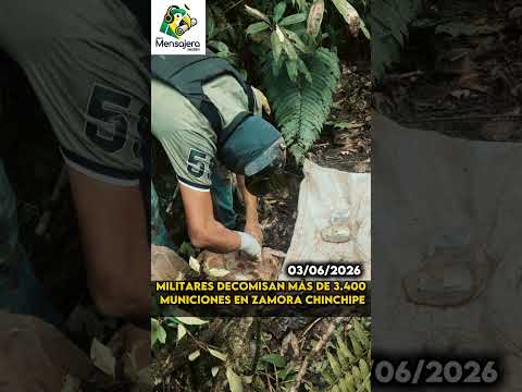 Militares decomisan más de 3.400 municiones en Zamora Chinchipe
