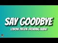 Lodoni Say Goodbye Trending Audio