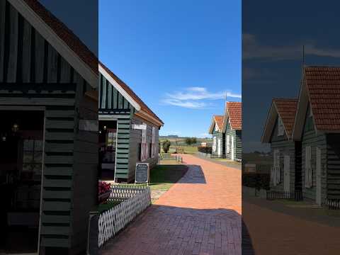 Carambeí: Colônia holandesa no Paraná #shorts #nederlands #holanda #imigrantes #dankewell #friesland