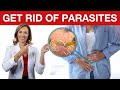 3 Tips to Get Rid of Parasites | Dr. Janine