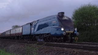 preview picture of video '(HD) 4464 Bittern THE CATHEDRALS EXPRESS rtn 21st May 2013'