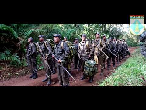 CAMPO BÁSICO 2017 COMPLETO