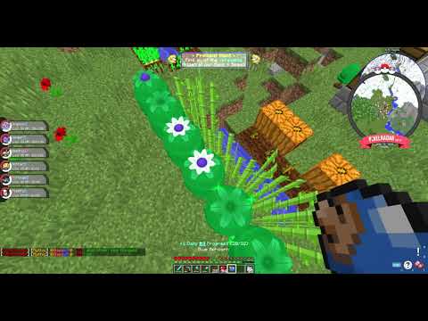 Pokedash daily quest not working