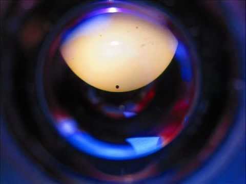 BEST VENUS TRANSIT for my Father