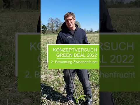Konzeptversuch Green Deal 2022 – Bewertung Zwischenfrucht