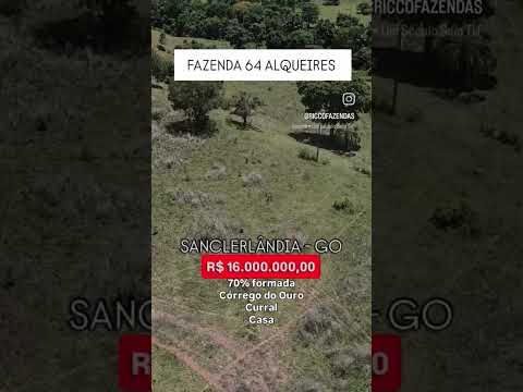 Fazenda de 64 alqueires em Sanclerlândia Goiás | whatsapp 62 99373-6407
