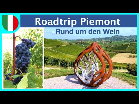 Piemont #2 mit Womo | Weinberge von Barolo bis Asti