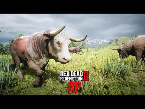 VAMOS TOCAR A BOIADA - Red Dead RP