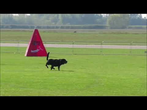 Ex vom Schwarzen Grat - long attack, IFR IGP WM 2021