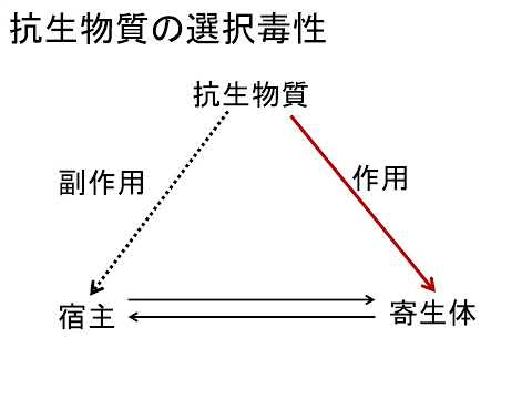 抗生物質と耐性菌の出現【農芸化学コース】農林海洋科学部