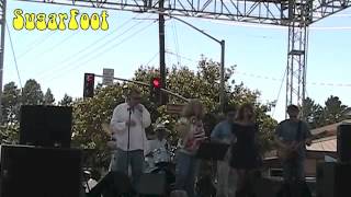 SugarFoot at the 2012 Novato Art and Wine Festival Highlights