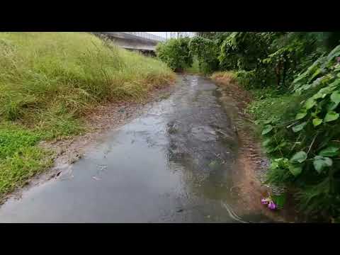 George's River Flood, Chipping Norton Lake 2/3/2022