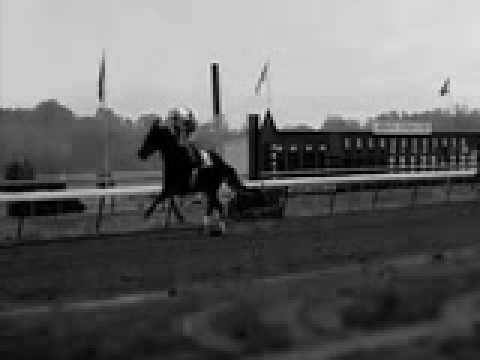 Ruffian vs. Foolish Pleasure-Nobody Wins