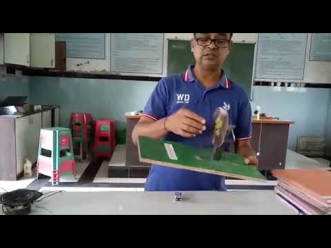 aluminium disc and magnet. Eddy current