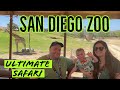 I Pet An Endangered Rhino Ultimate Safari At The San Diego Zoo Safari Park California