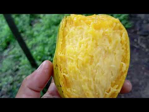 Chuva abençoada em Joaíma mg