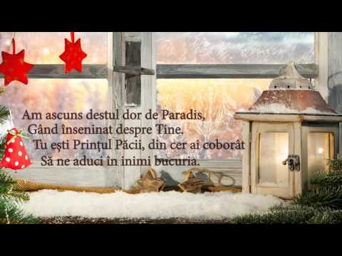 Loredana Musteata – Luminos Colind (Official Lyrics Video)