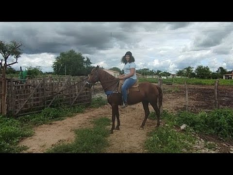 Fazenda Eduardo Celedonio auto da catinguinha Jaguaruana Ceará 