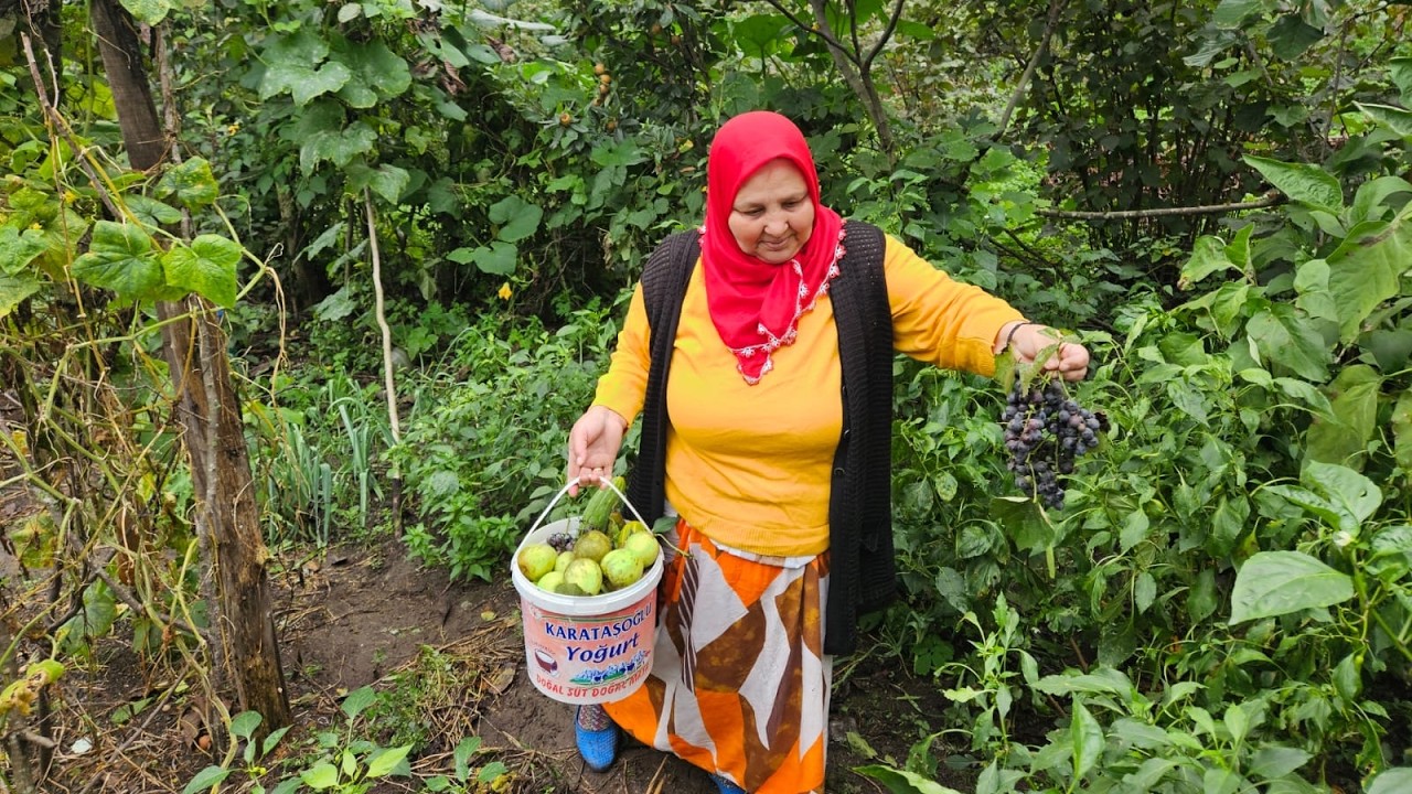 ‼️KOCAMDAN GÜZEL CÜMLELER DUYMAK 🥰❤️ PAZARDAN NELER TOPLADIM, TOHUMLARIMI DA EKTİM 🌱🌿💚