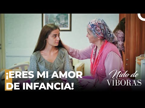 ¡El Amor De Elvan Por Ejder! - Nido De Víboras