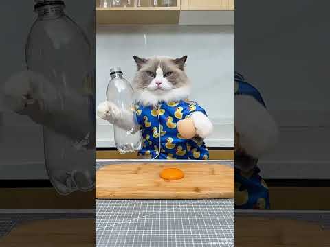 Яйцо-сюрприз своими руками! 🤩🥚