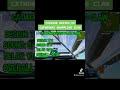 Pickaxe Review 3 Catwomans Grappling Claw Fortnite Fortnitereview Foryou