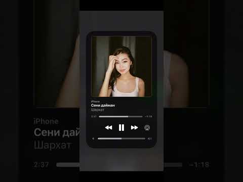 Seni dayman (Уйгурская песня Сени дайман