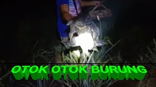 Download lagu DENGAN ALAT INI SEMUA BURUNG SAWAH PASTI MUDAH DITANGKAP mp3 Download lagu DENGAN ALAT INI SEMUA BURUNG SAWAH PASTI MUDAH DITANGKAP mp3