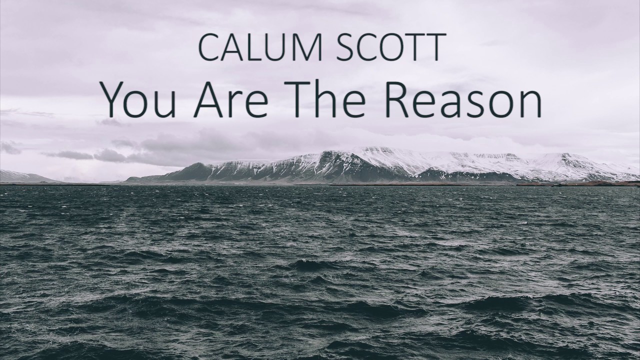 Download Free Mp3 Of Calum Scott You Are The Reason