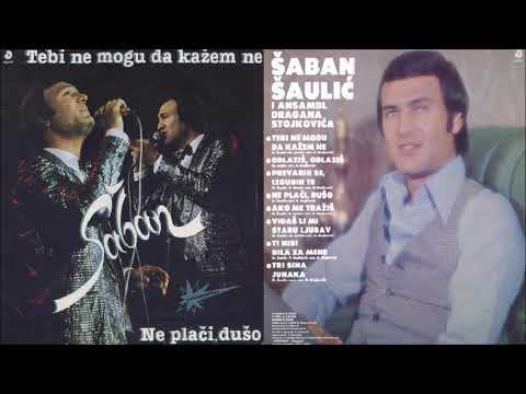 Saban Saulic - Tebi ne mogu da kazem ne - (Audio 1984) - CEO ALBUM