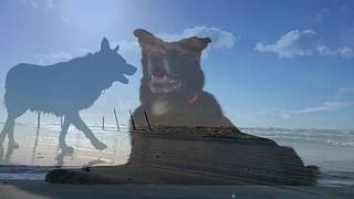 Proud to Say That I Am (Pat Green)