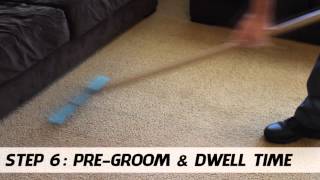 Our 10 Step Premium Carpet Cleaning Process